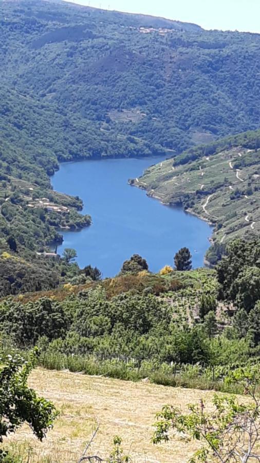 דירות Cristosende Balcon Da Pena Da Moura מראה חיצוני תמונה