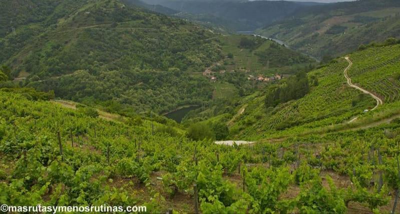 דירות Cristosende Balcon Da Pena Da Moura מראה חיצוני תמונה